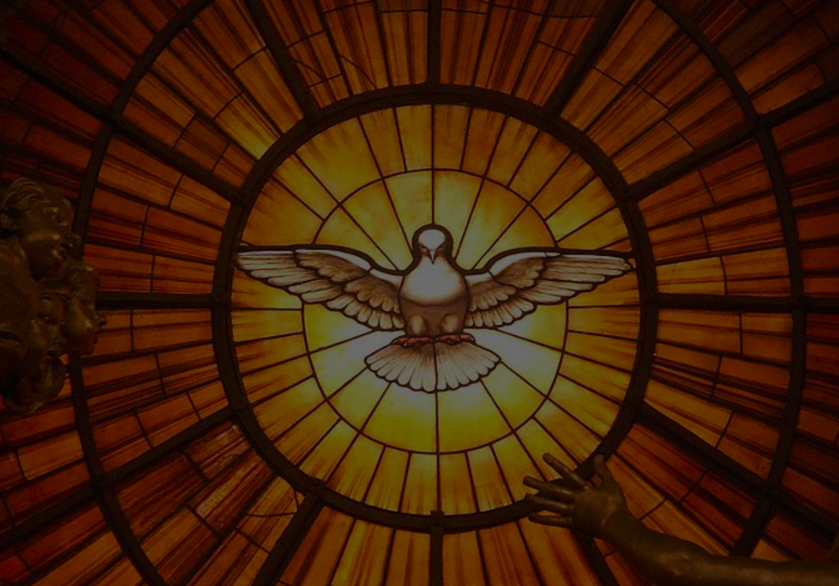 Catálogo Holy Spirit