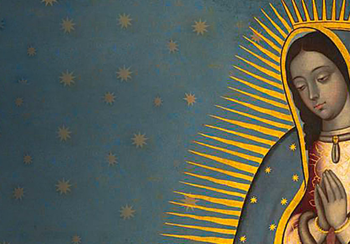 Catálogo Our Lady of Guadalupe